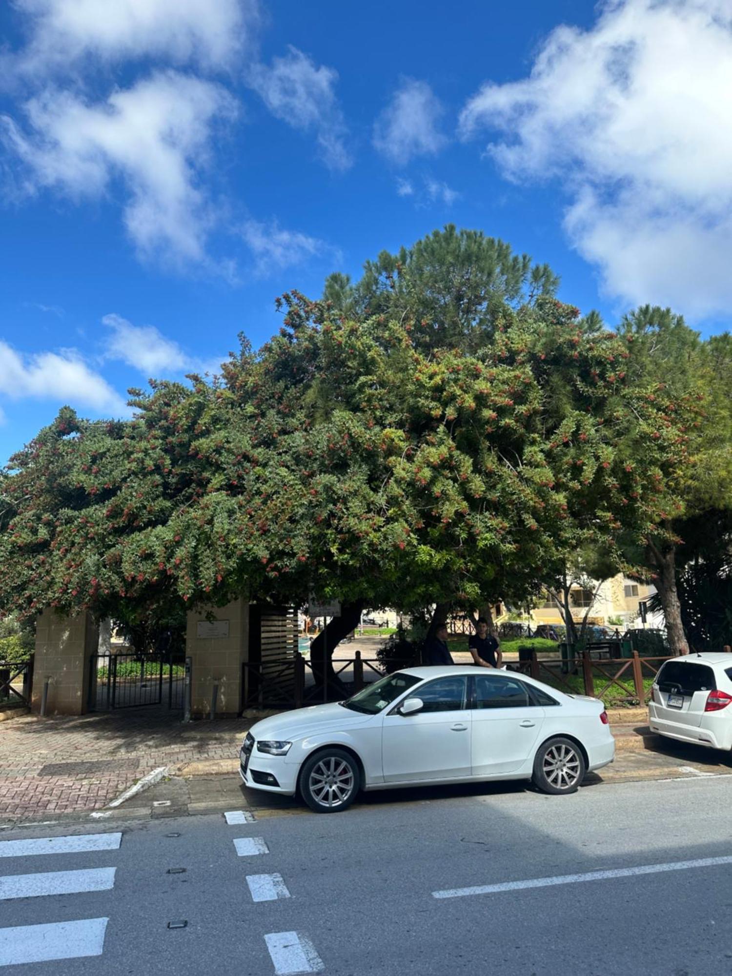 1 In A Shared 3 Bedrrom In Swieqi 10 Mins Away From Paceville And San Ġiljan
